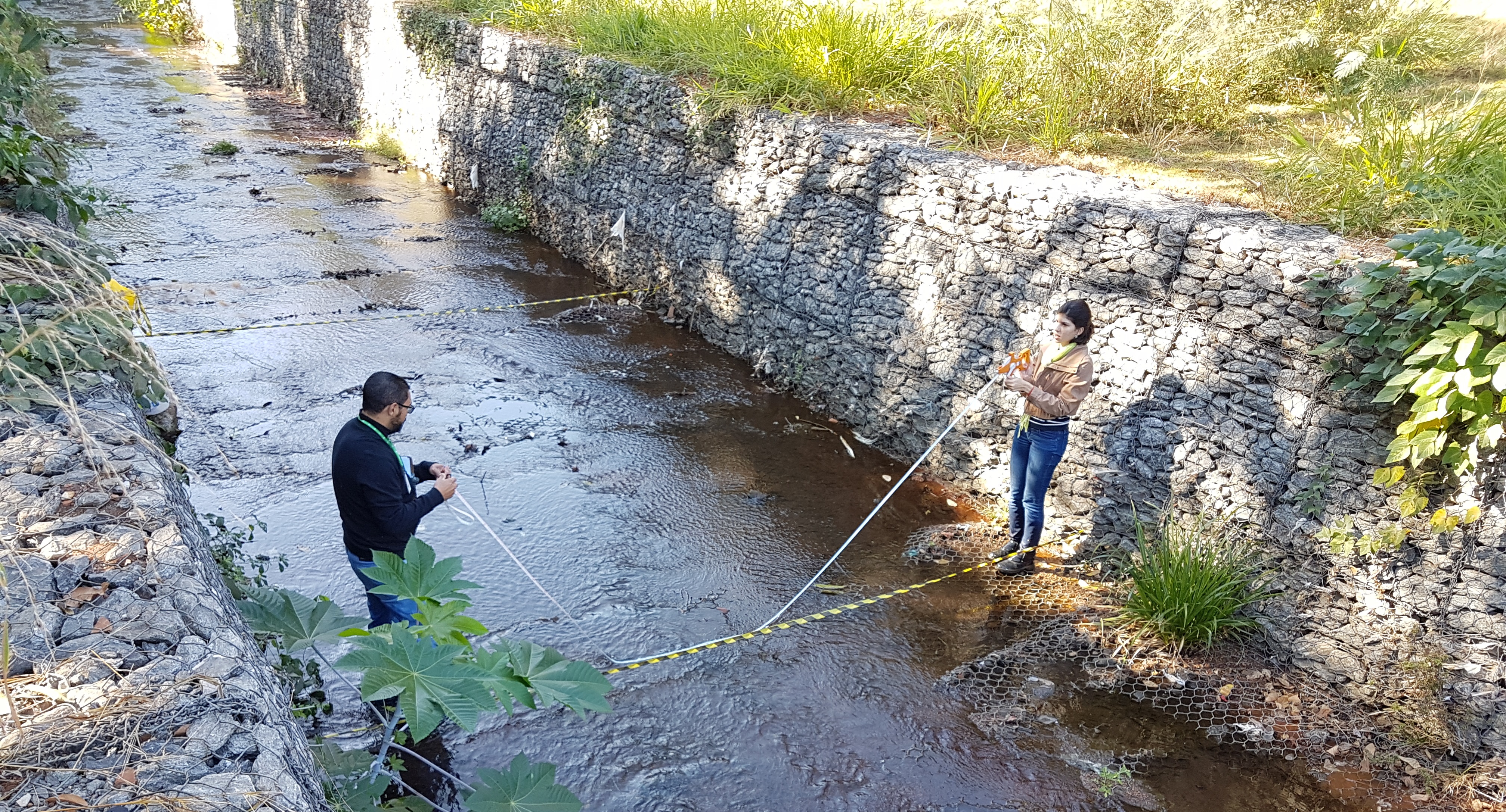 Amostras para estudo foram coletadas na nascente do córrego e nos trechos na região do Parque da Criança e do Parque Ecológico Municipal do Tamanduá Amostras para estudo foram coletadas na nascente do córrego e nos trechos na região do Parque da Criança e do Parque Ecológico Municipal do Tamanduá
