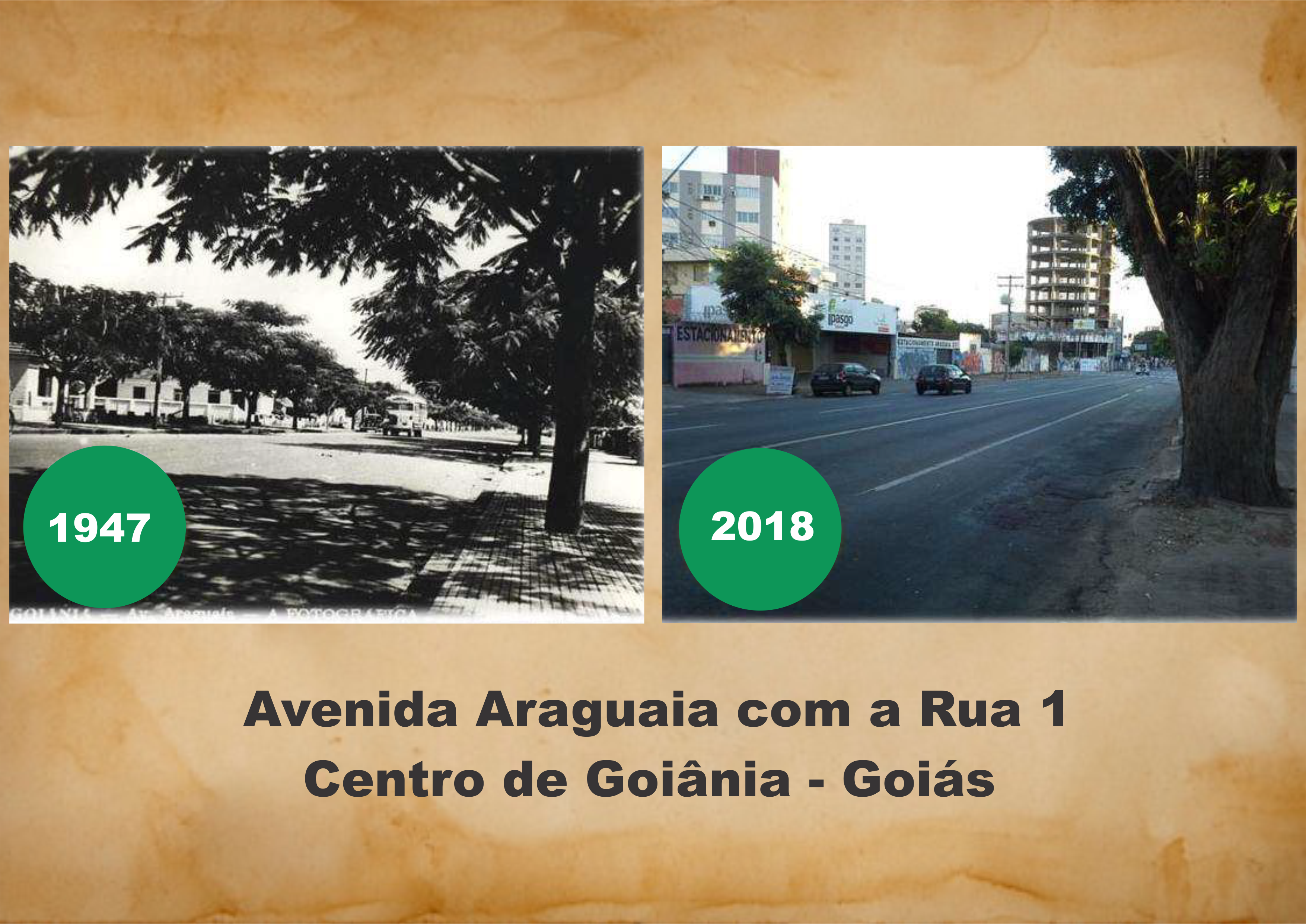 Na pesquisa, o professor Fábio de Souza desenvolveu um método para avaliar o índice de supressão de árvores especialmente nas calçadas e canteiros em vias localizadas no Centro e setor Marista. Na pesquisa, o professor Fábio de Souza desenvolveu um método para avaliar o índice de supressão de árvores especialmente nas calçadas e canteiros em vias localizadas no Centro e setor Marista.