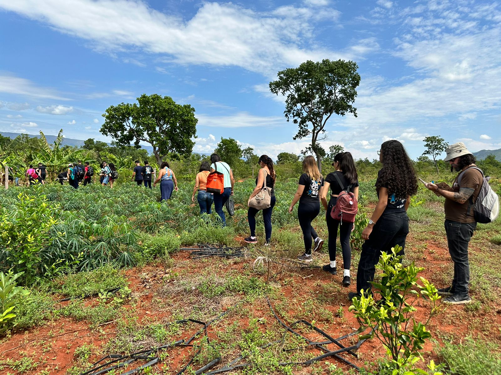 Plantações Alunos e servidores visitam plantações