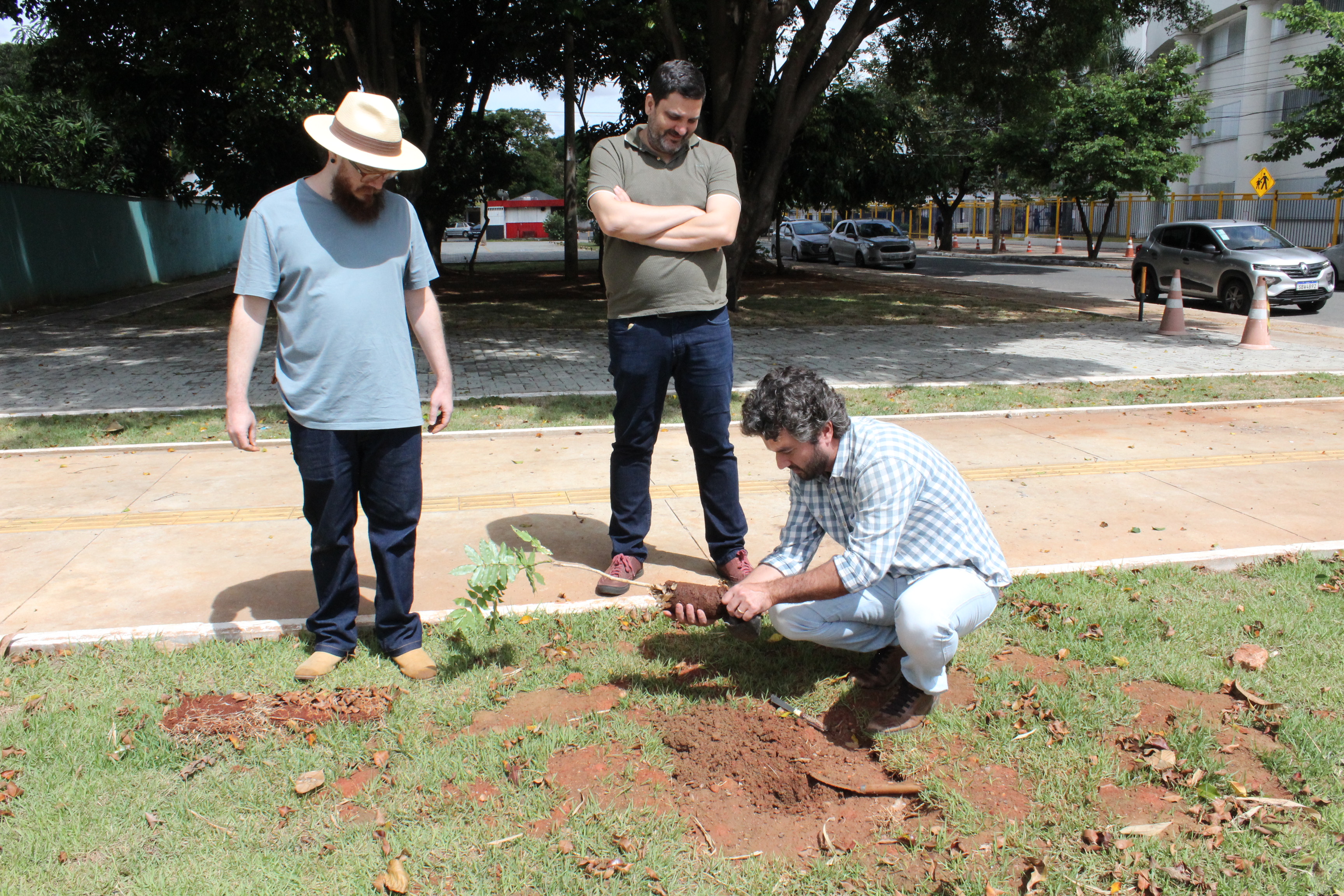 Plantio faz parte do Projeto de Arborização e Paisagismo da Reitoria