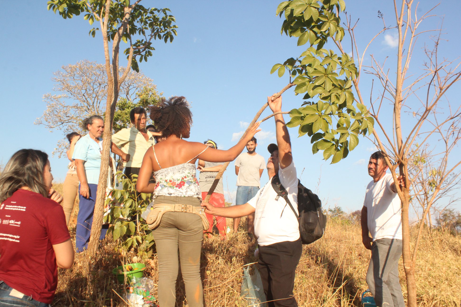 Atividade do Projeto de extensão "Plantas medicinais do cerrado", coleta e identificação de espécies. Projeto realizado em parceria com a secretaria de saúde, do Núcleo de Agroecologia e Ecossistemas.